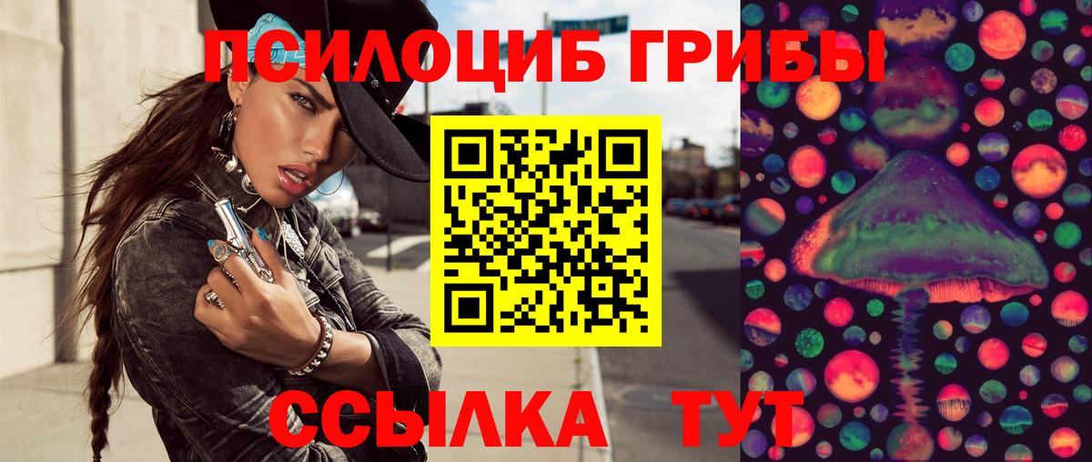 Псилоцибиновые грибы GOLDEN TEACHER  Вход с VPN  Кимры 